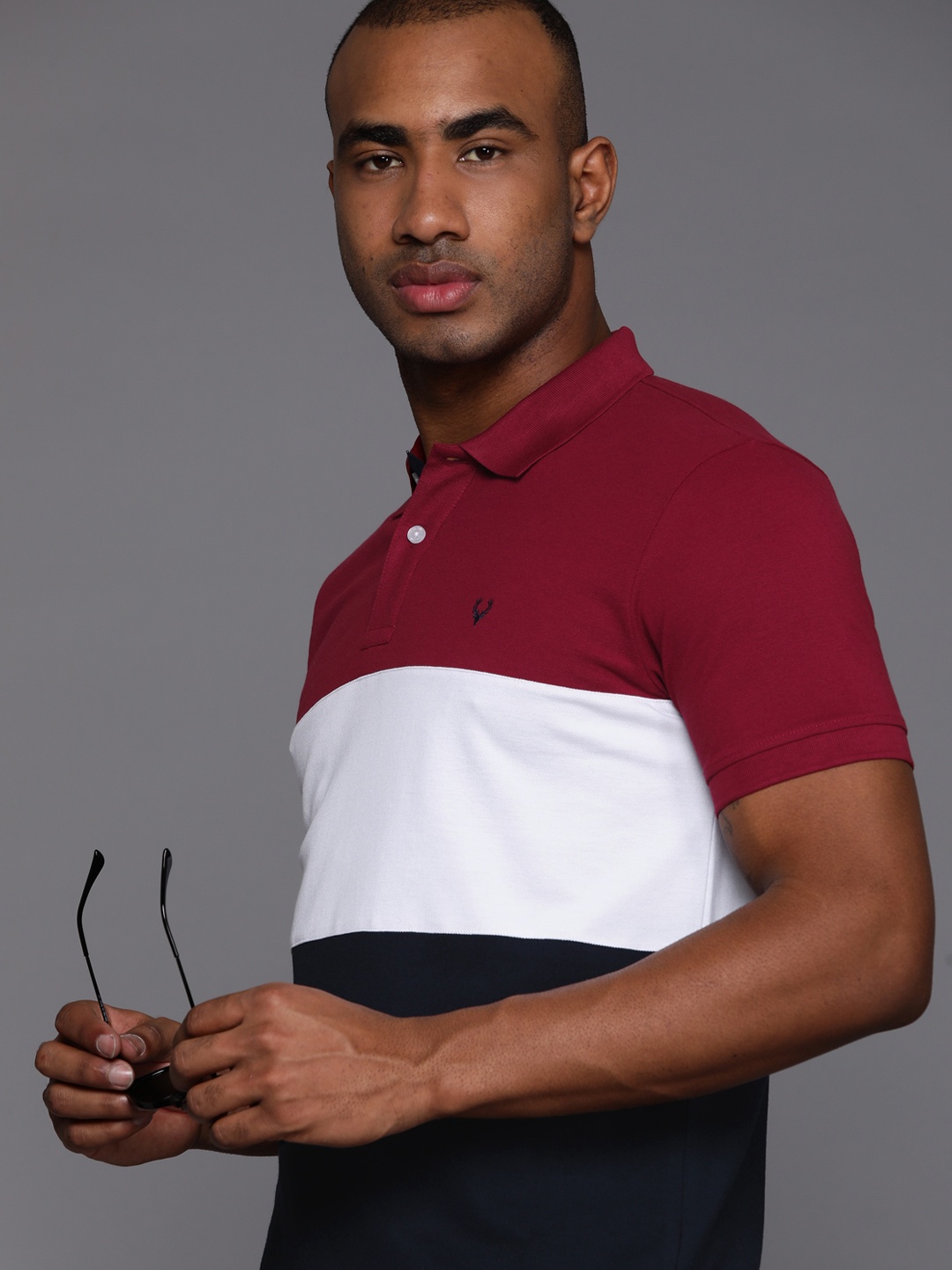 

Allen Solly Striped Polo Collar T-shirt, Maroon