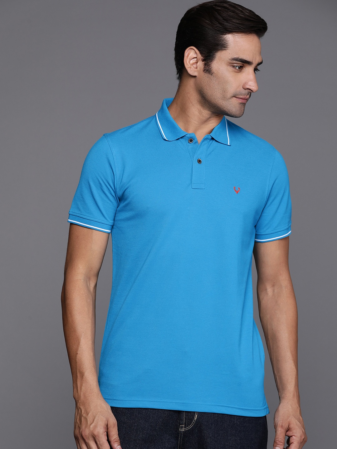 

Allen Solly Polo Collar T-shirt, Blue