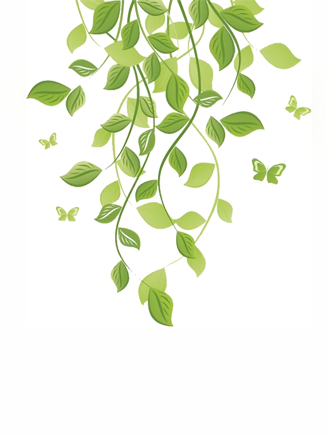 

Aquire Green Floral & Botanical Self Adhesive Wall Sticker