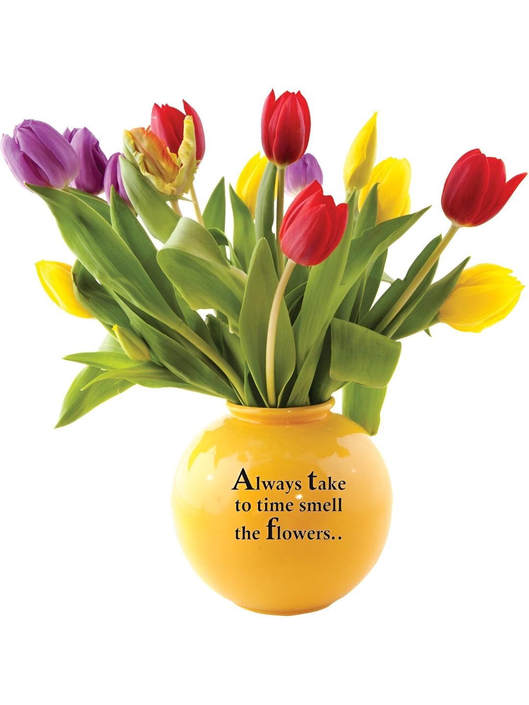 

Aquire Green Floral Self Adhesive Wall Sticker