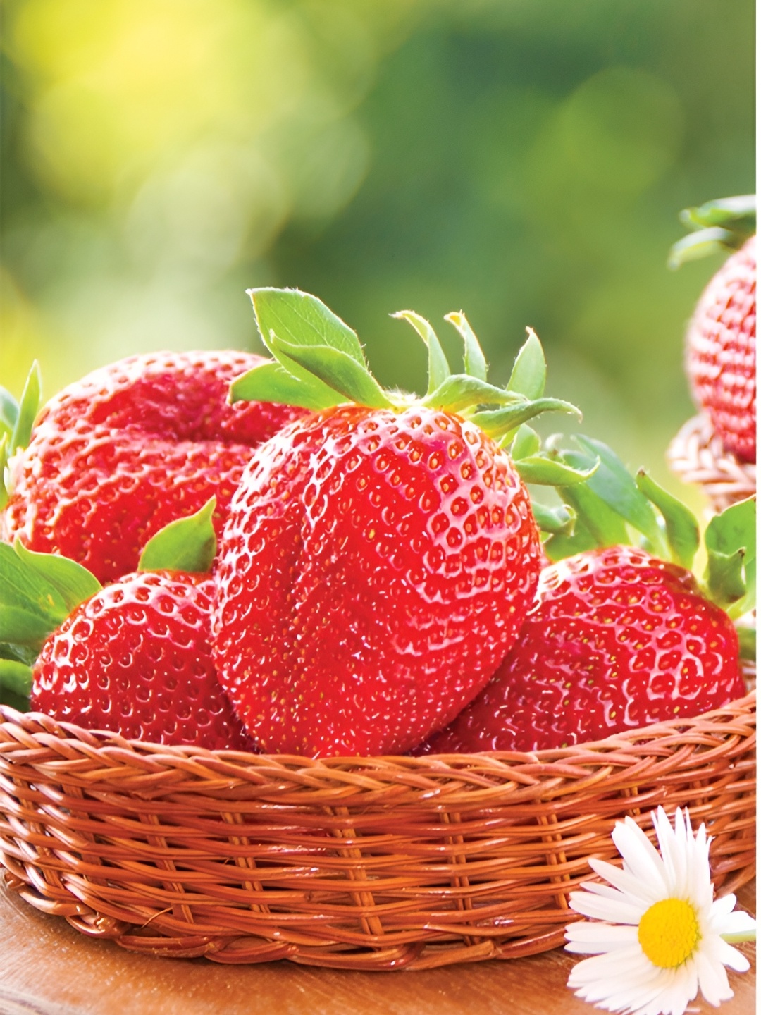 

Aquire Red & Green Strawberry Long Lasting Kitchen Wall Sticker