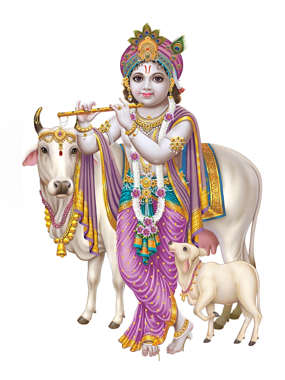 

Aquire Gold-Toned & Pink Religious Krishna Printed Wall Stickers