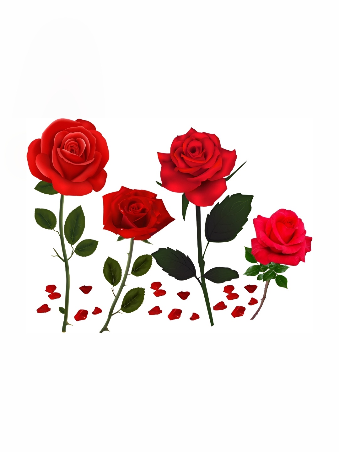 

Aquire Red & Green Rose Wall Decals and Sticker