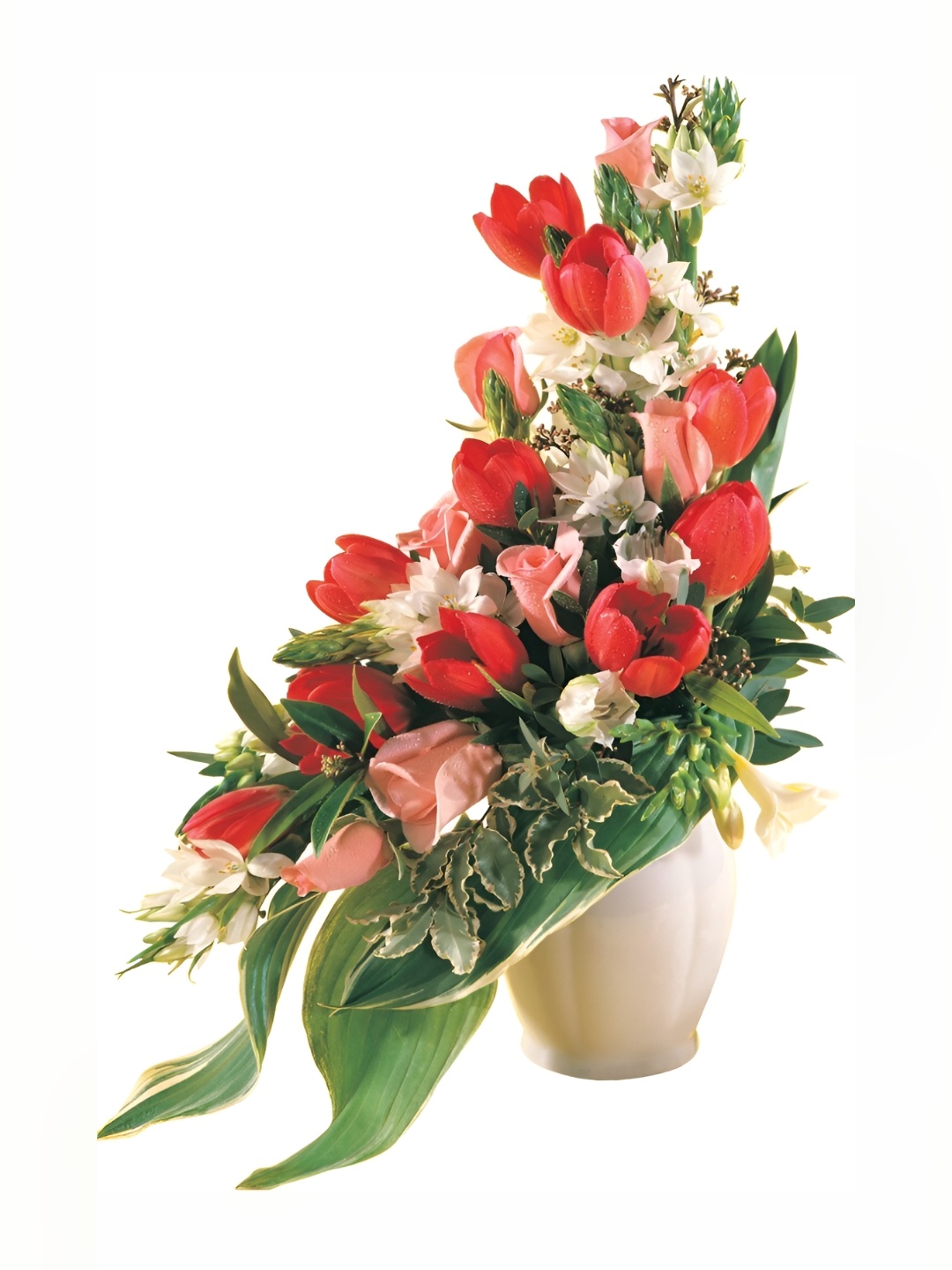 

Aquire Red & Green Floral Printed Self Adhesive Wall Sticker