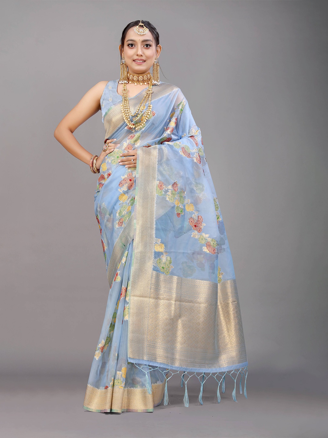 

PATIALAPICKS Woven Design Zari Pure Silk Kanjeevaram Saree, Blue