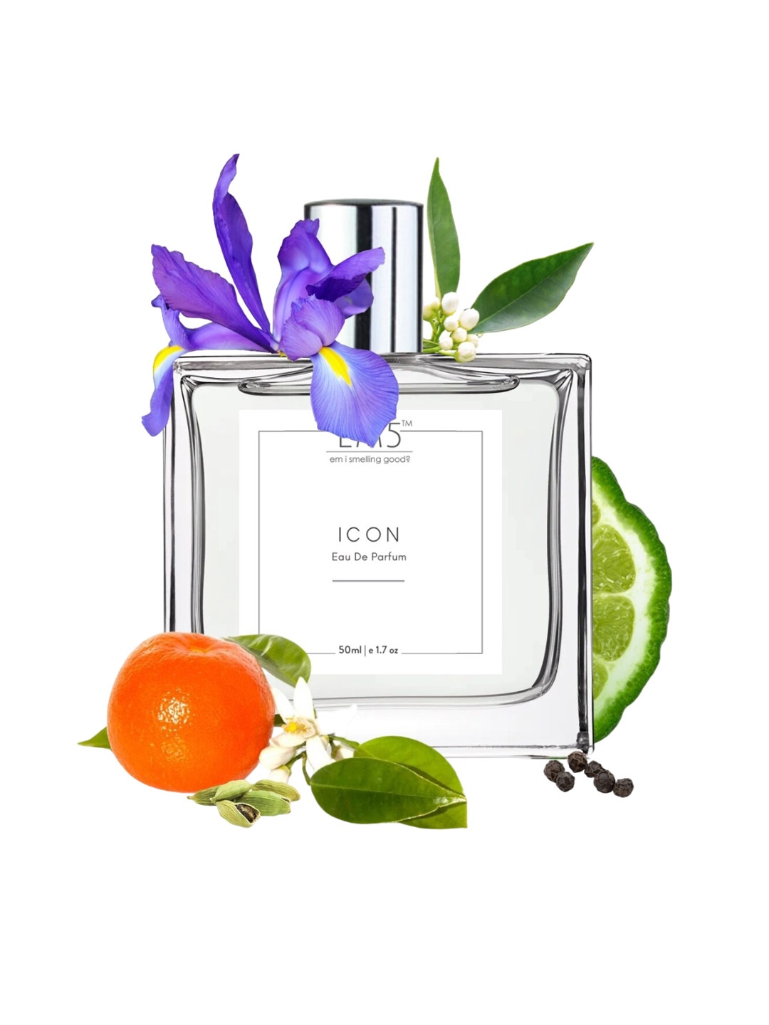 

EM5 Men Icon Long Lasting Eau De Parfum - 50ml, Transparent