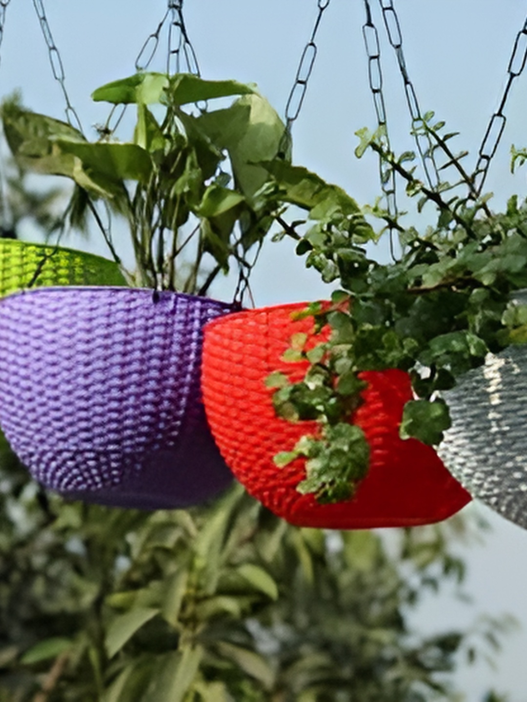 

AGAMI Ramanuj 6 Pieces Red & Green Textured Hanging Planters
