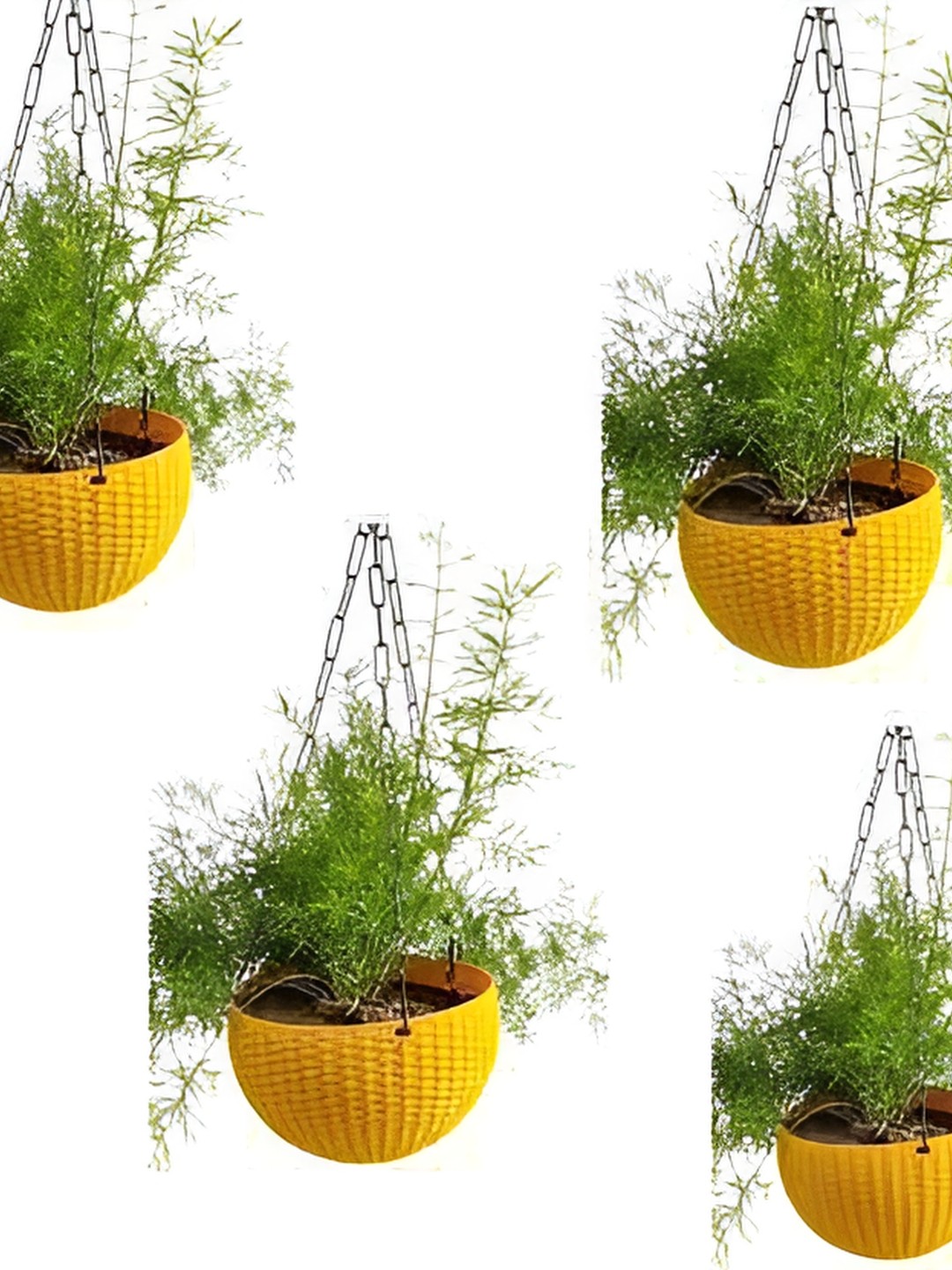 

AGAMI Yellow 4Pcs Textured Basket Planters