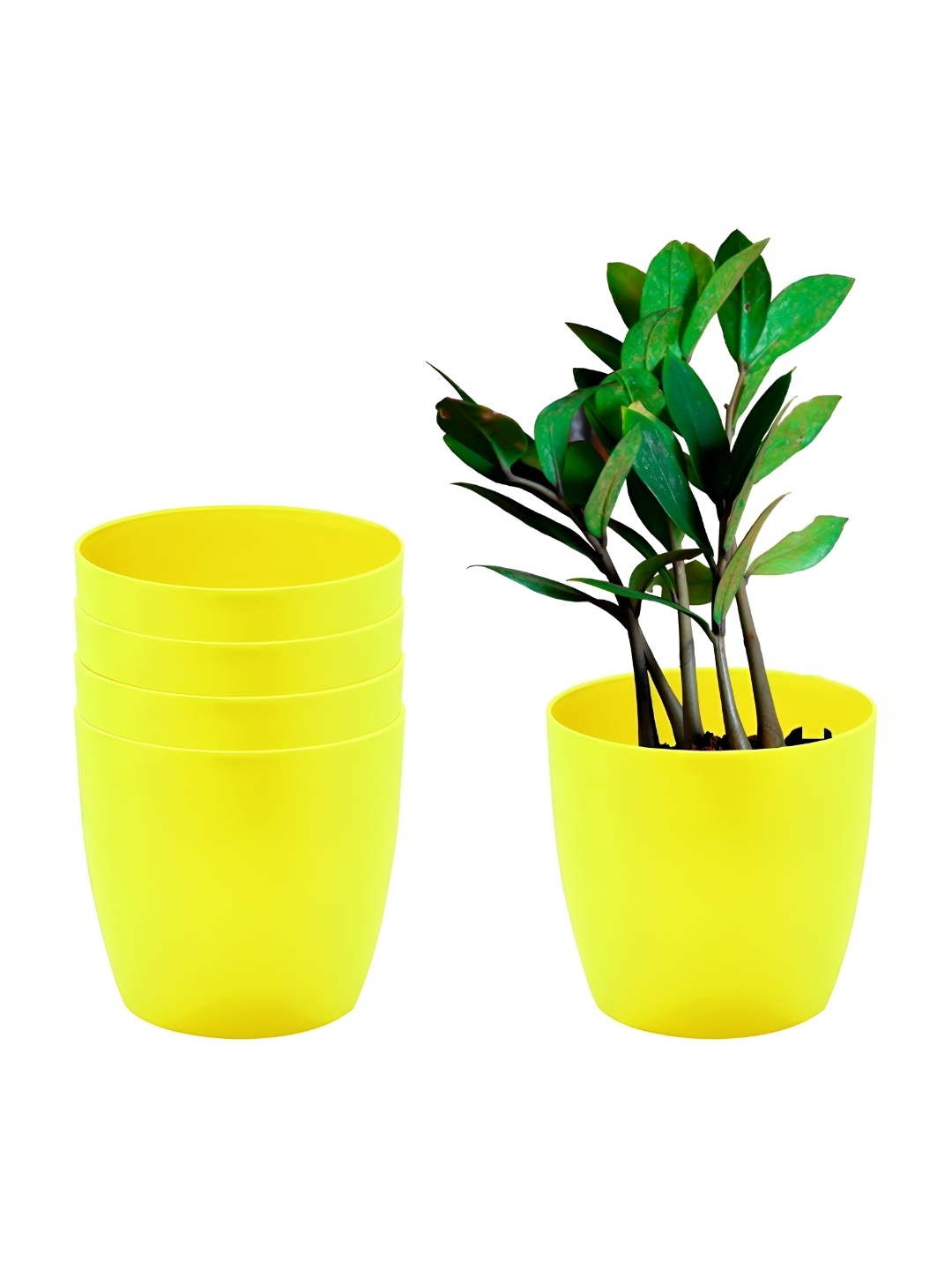

AGAMI Cactus Varieties Yellow 5 Pieces Round Planters