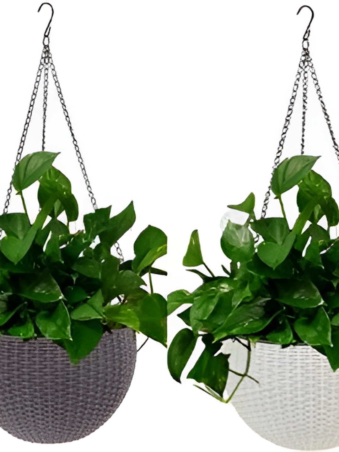 

AGAMI Funtastik Grey & White 2 Pieces Planters With Hangers