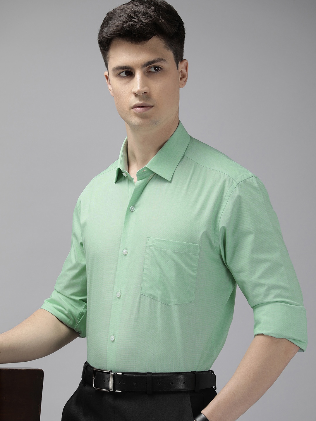 

Arrow Pure Cotton Manhattan Slim Fit Opaque Formal Shirt, Green