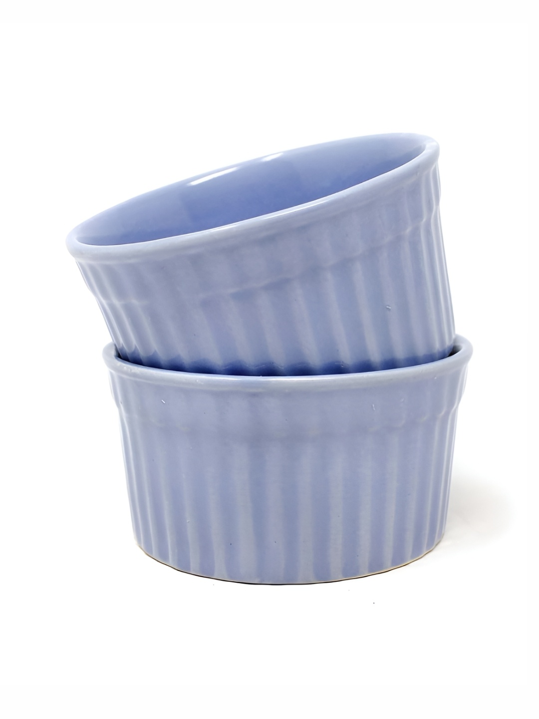 

The Earth Store Blue & 2 Pieces Textured Ceramic Glossy Bowls 220 ml