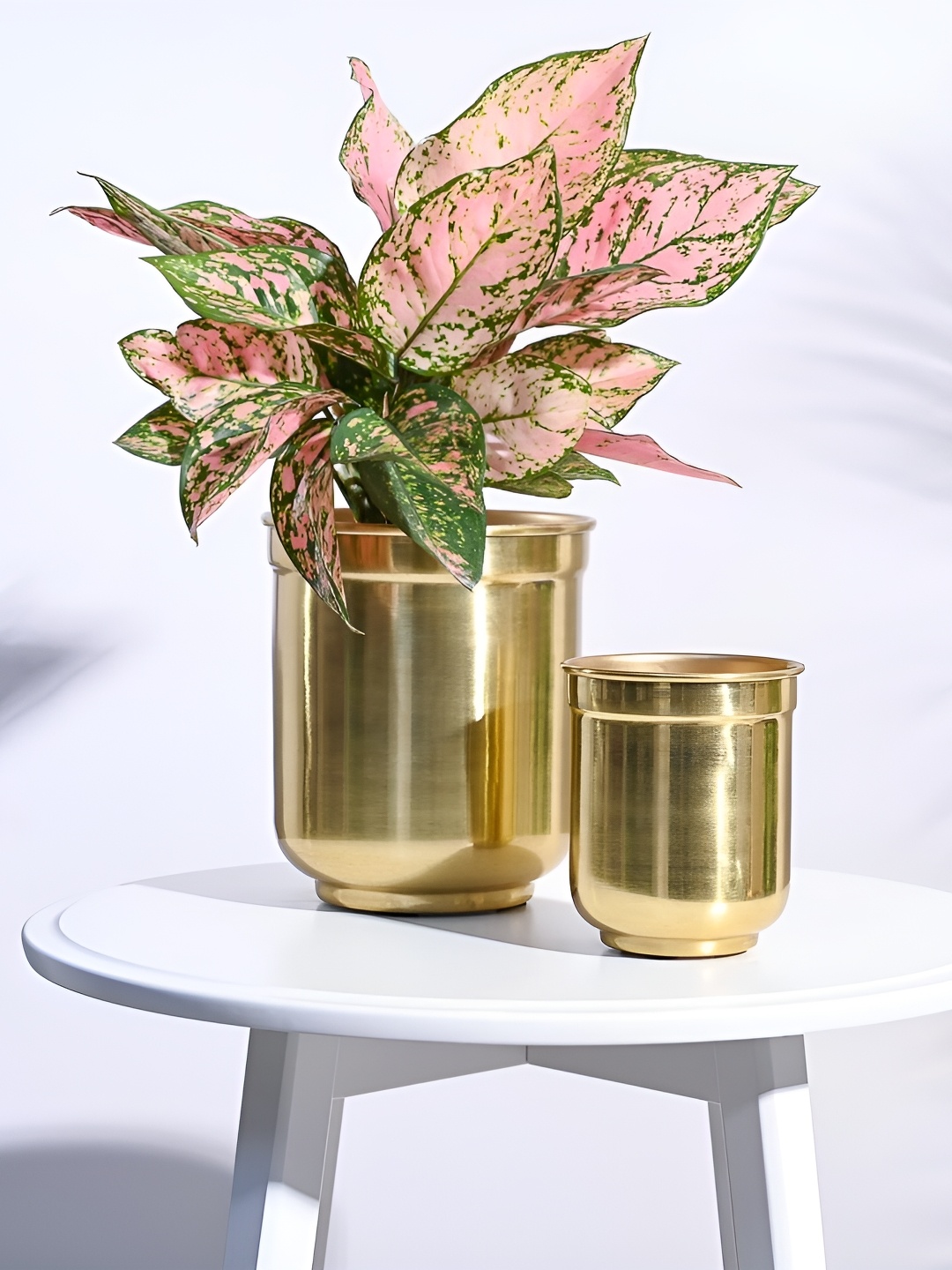 

UGAOO Aurelian 2 Pcs Stainless Steel Cylindrical Planters, Gold