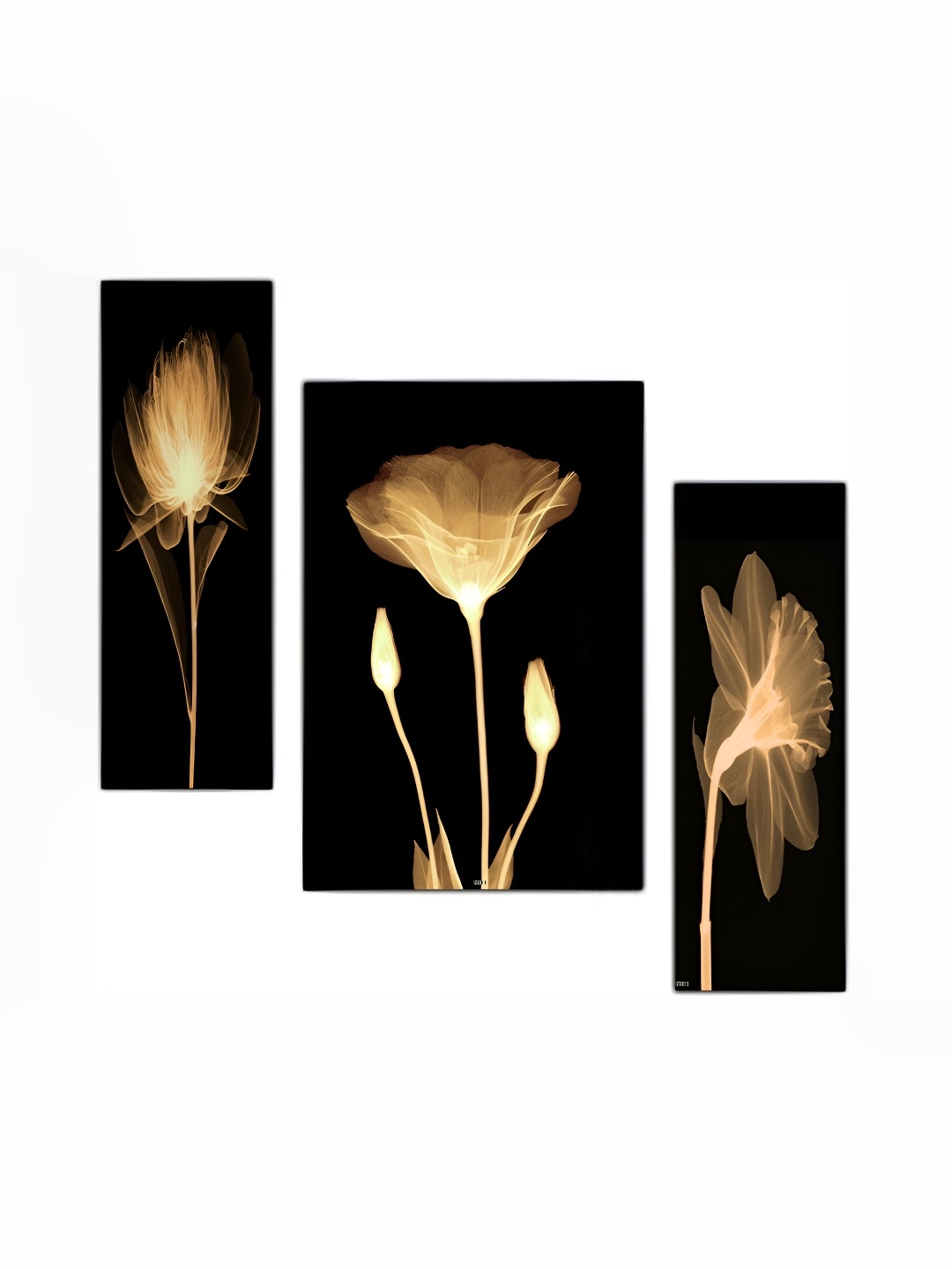 

PnF Beige & Black 3 Piece Wooden Floral and Botanical Wall Paintings