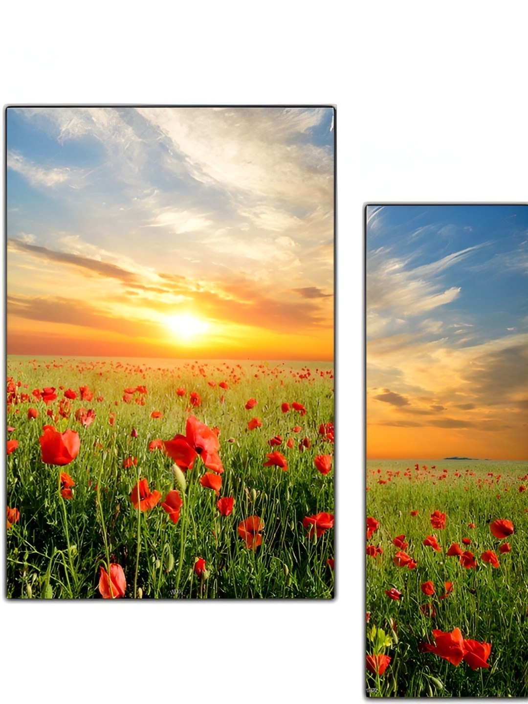 PnF Red & Blue 3 Pieces Wooden Floral and Botanical Painting Wall Art