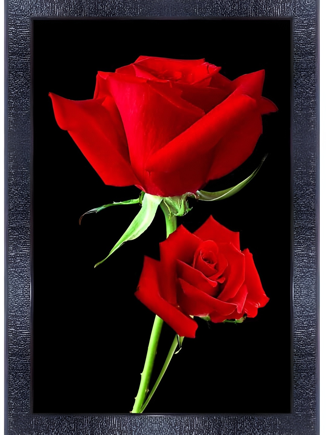 

PnF Black & Red Glass Floral Wall Painting