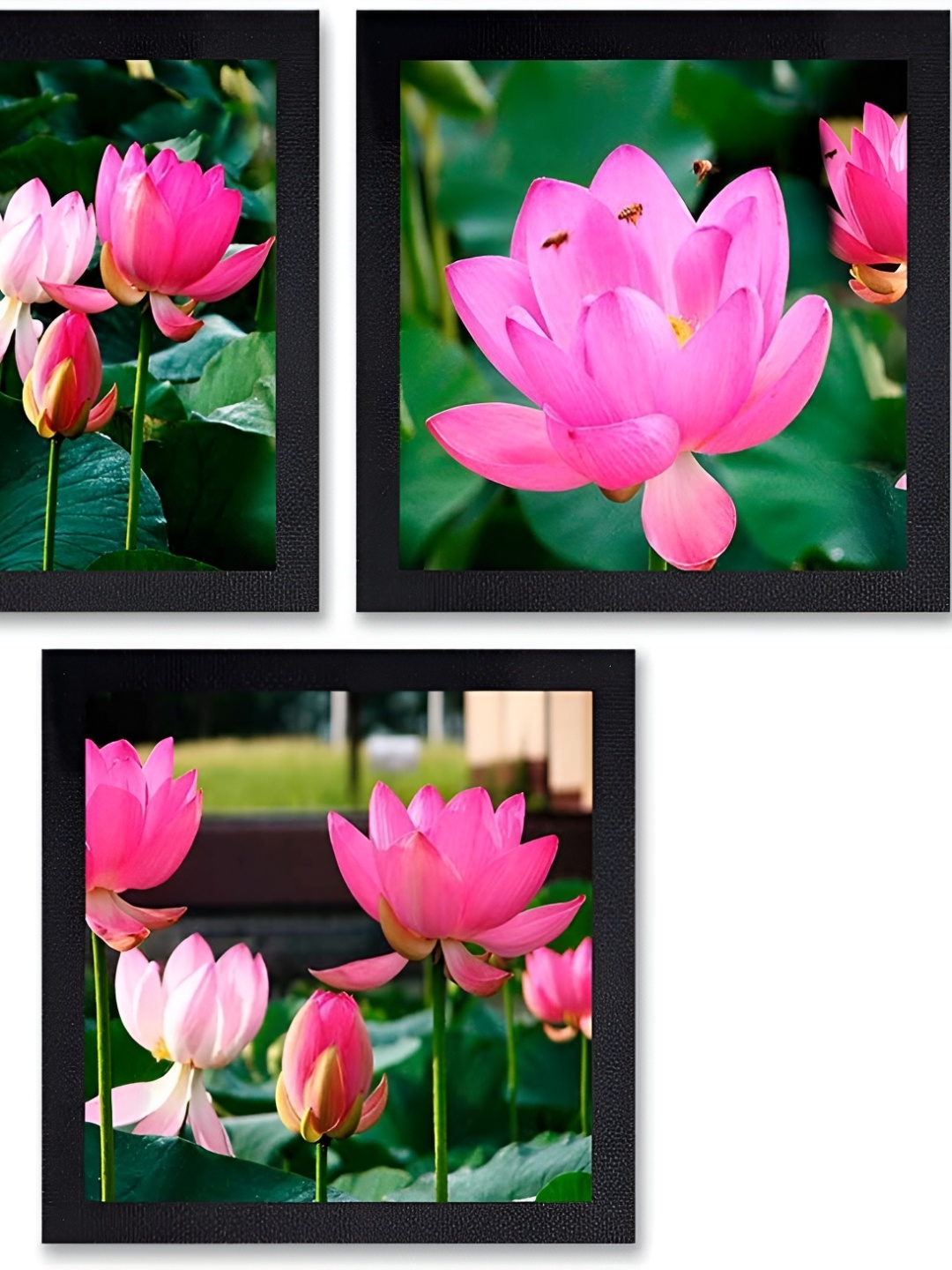 

PnF Black & Pink 3 Piece Wooden Floral and Botanical Wall Art