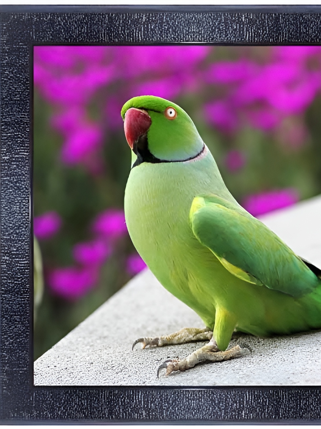 

PnF Black & Green Birds And Animals Wall Art