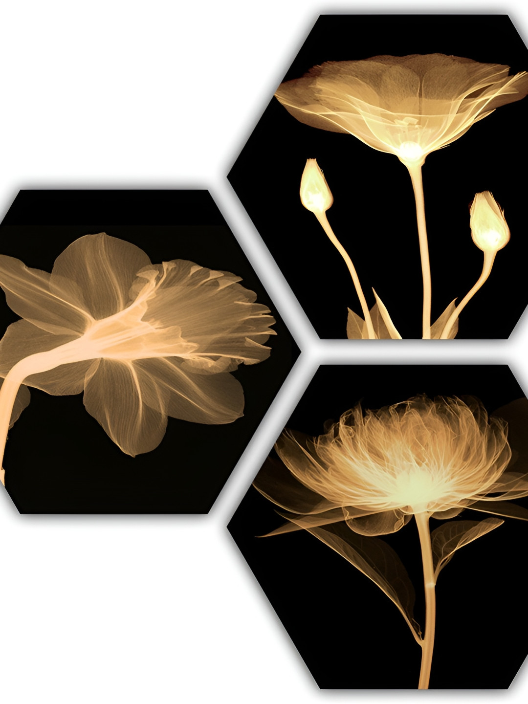 

PnF Black & Brown 3 Pieces Floral And Botanical Wall Arts