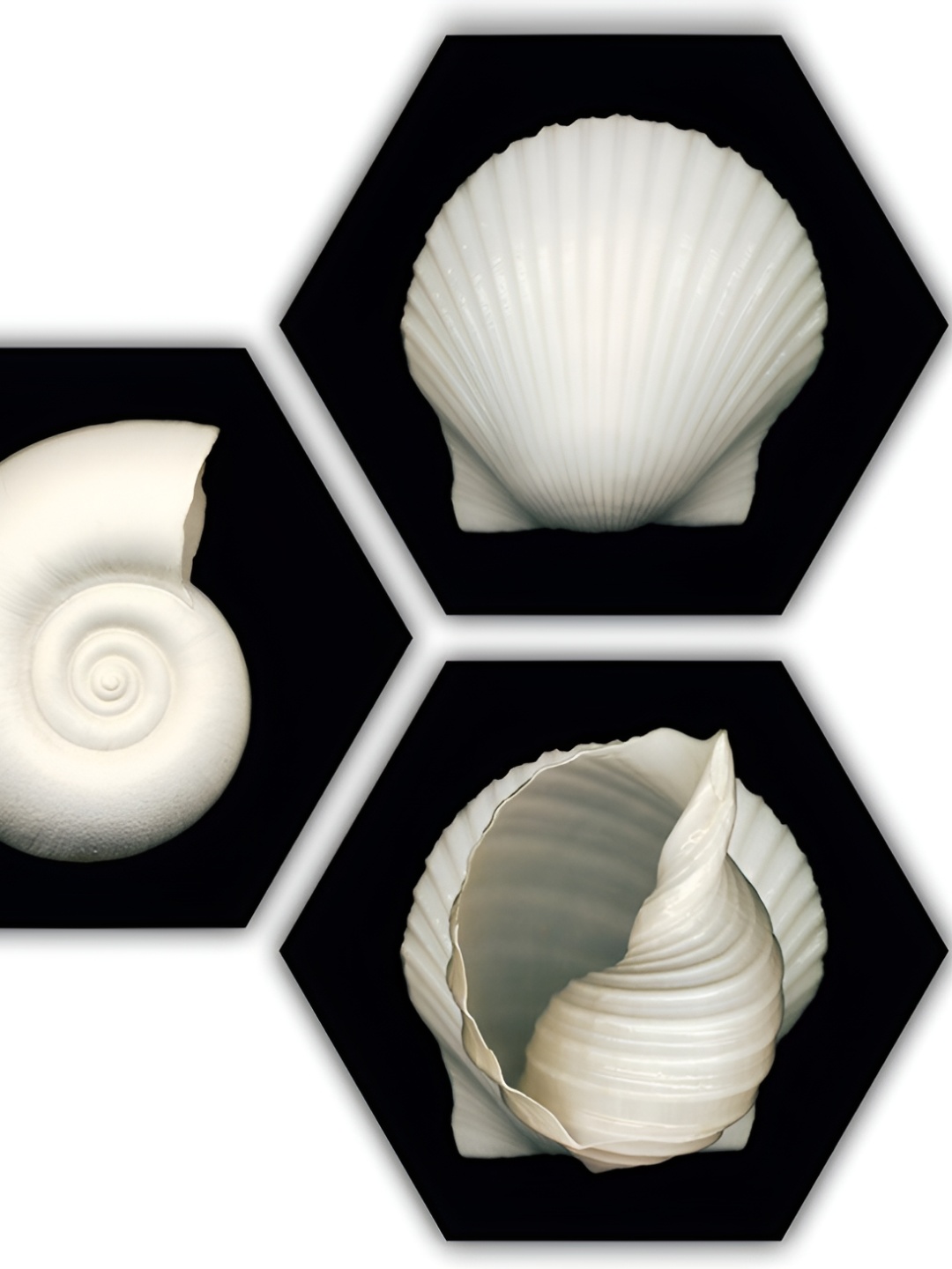 

PnF Black & White 3 Pieces Wooden Wall Art