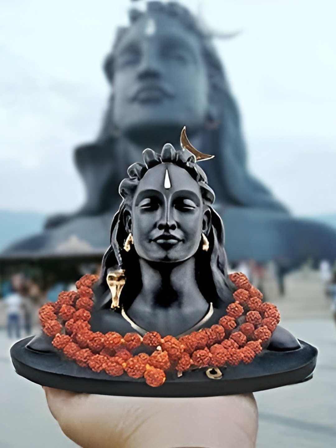 

Navyaksh Black Showpiece