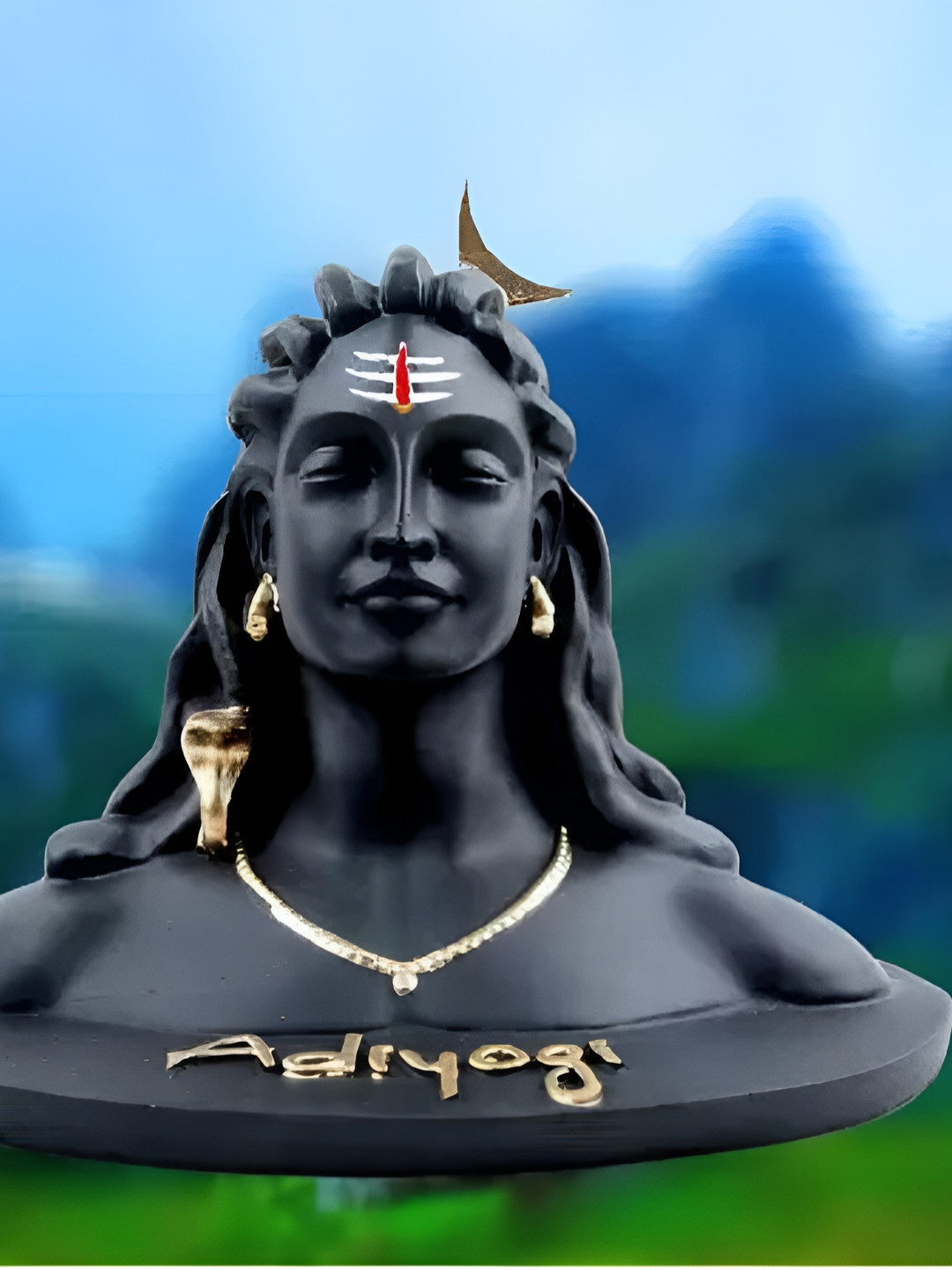 

Navyaksh Black Showpiece
