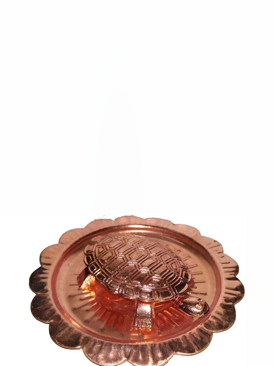 

Navyaksh Brown Showpiece