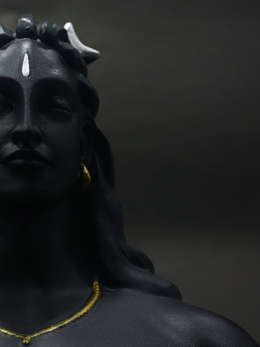 

Navyaksh Black Showpiece