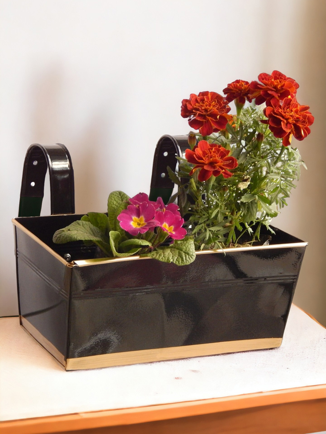 

ecofynd Black & Brown 3Pcs Metal Rectangle Balcony Hanging Planters