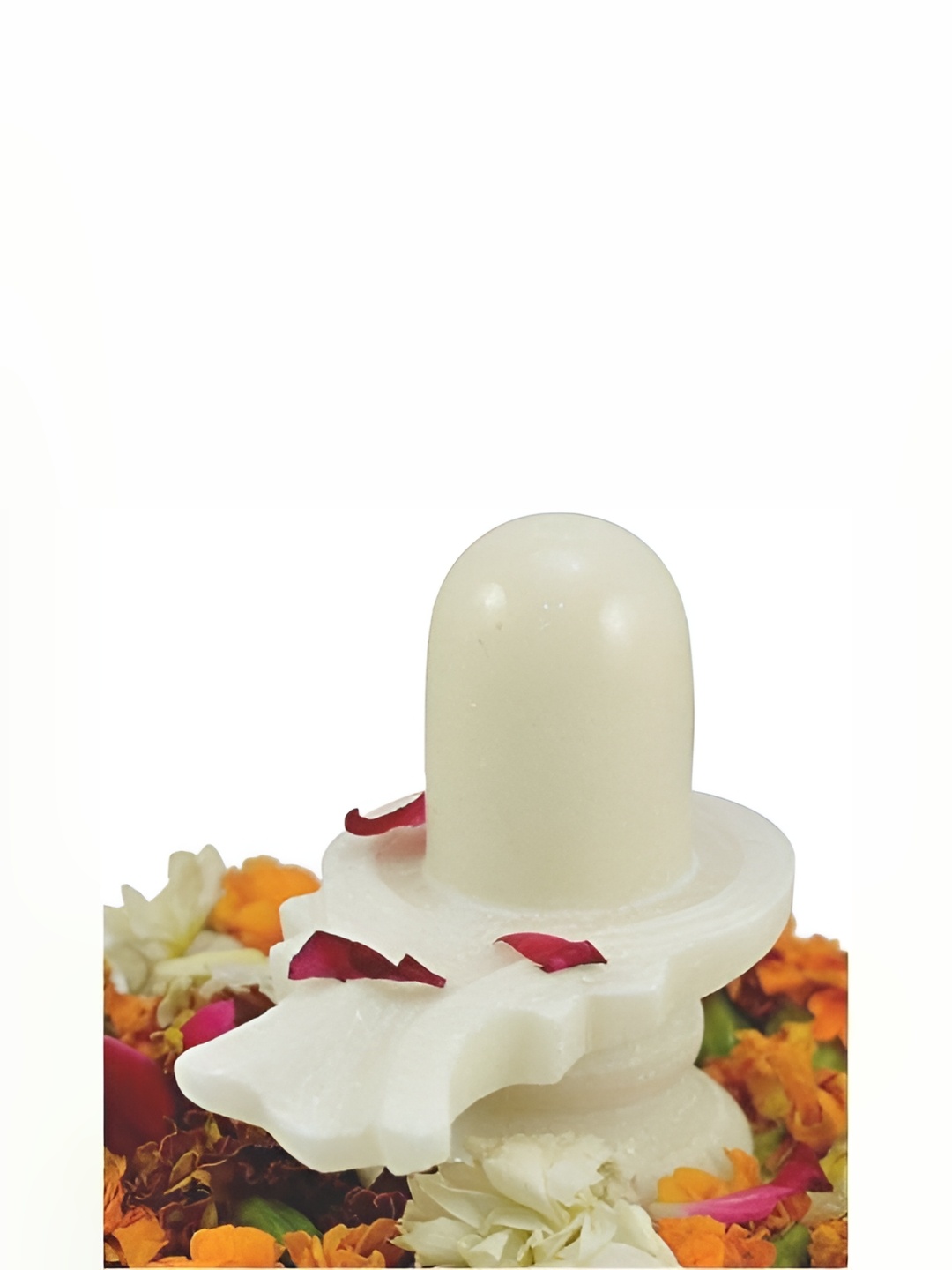 

Navyaksh White Showpiece