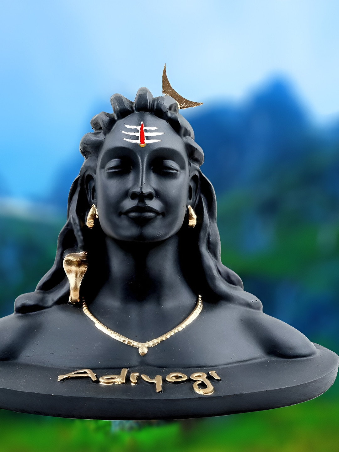 

Navyaksh Black Showpiece