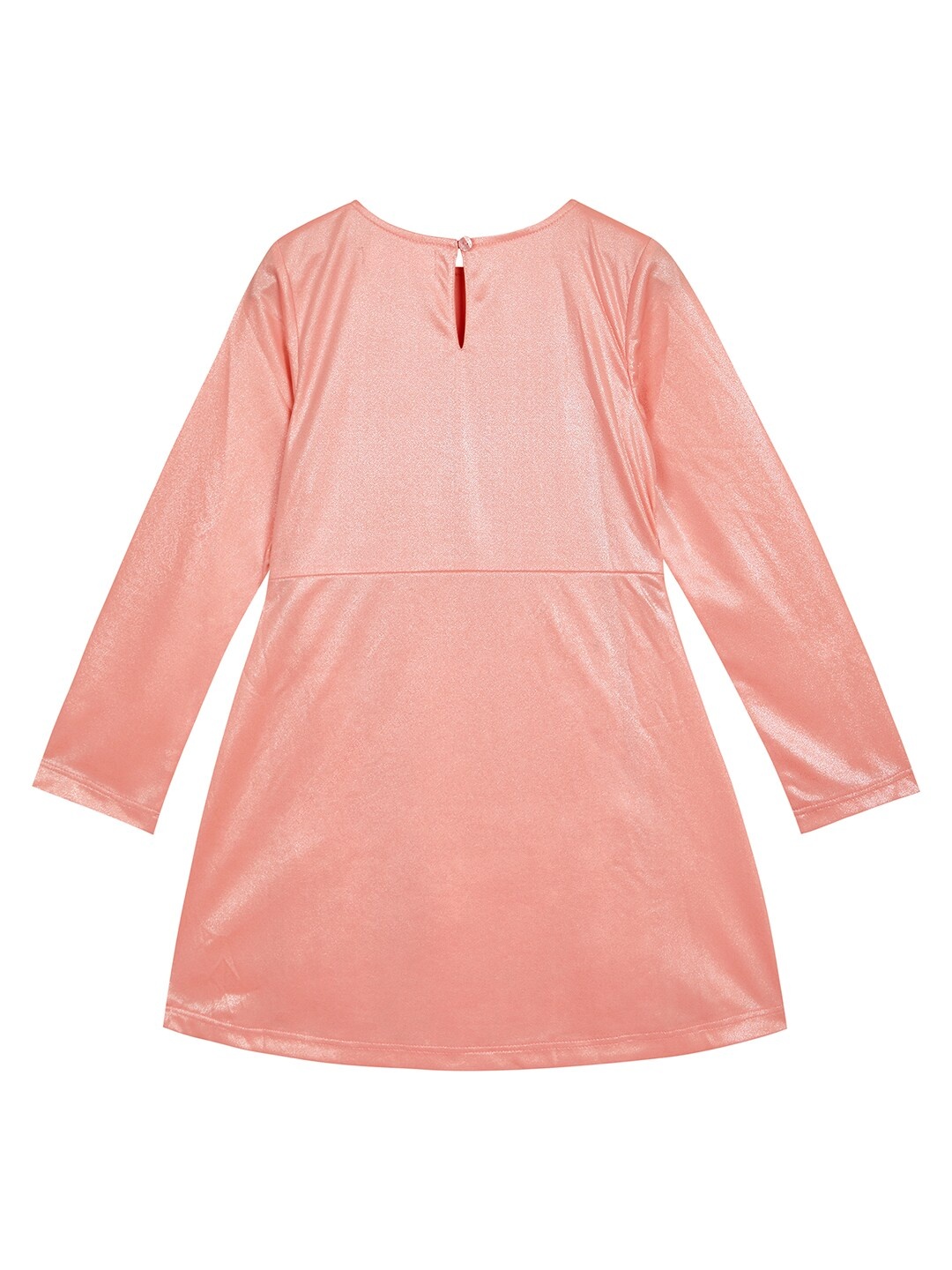 

Budding Bees Girls Embellished A-Line Dress, Peach