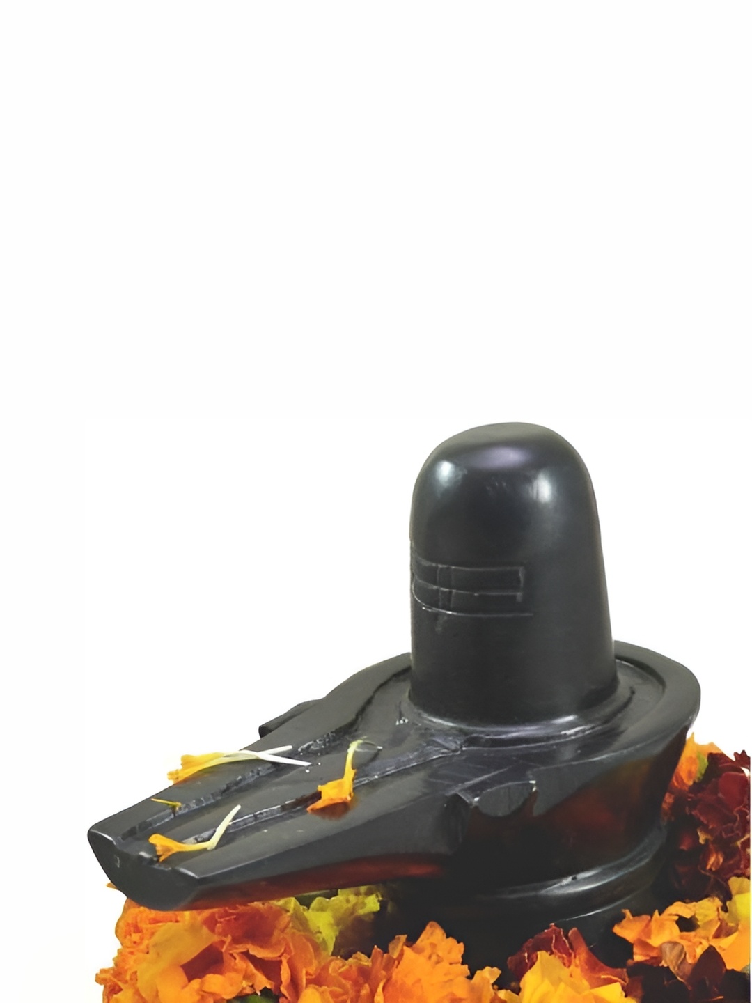 

Navyaksh Black Showpiece