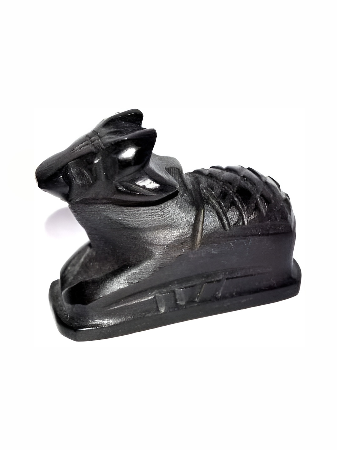 

Navyaksh Black Showpiece