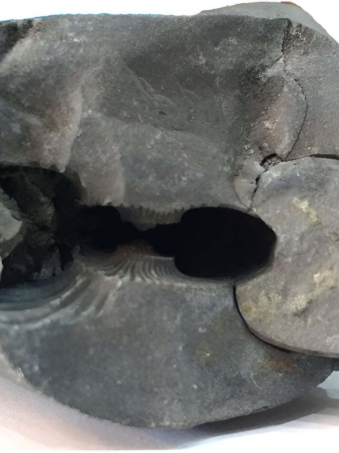 

Navyaksh Grey Showpiece