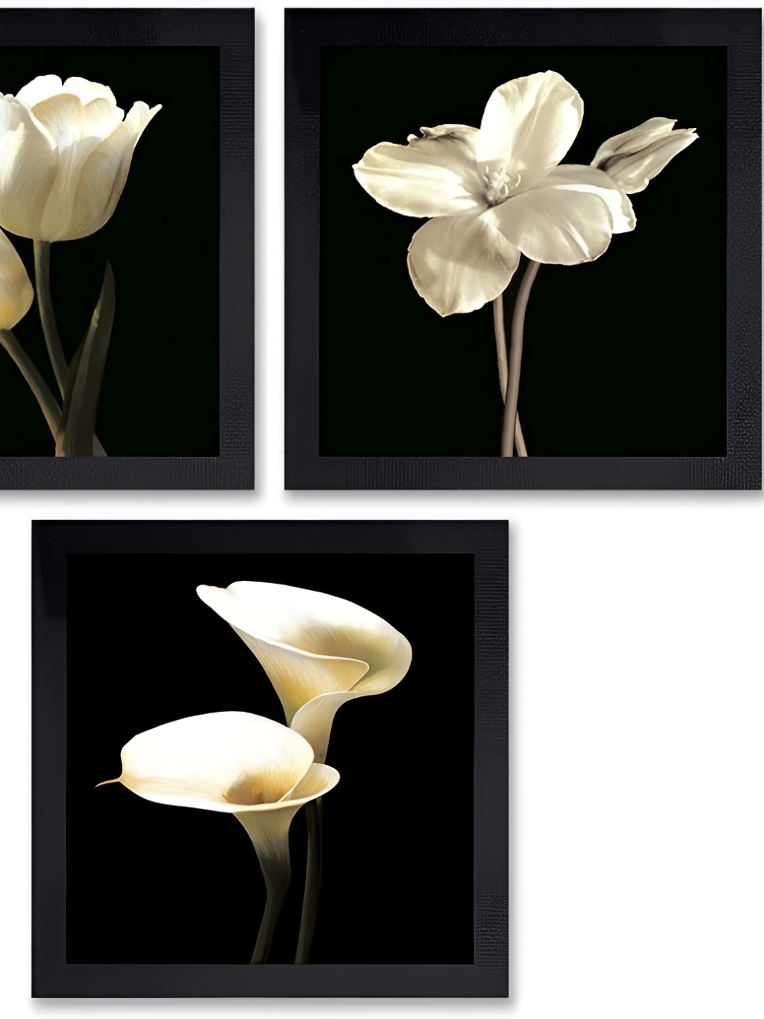 

PnF Black & White Floral and Botanical Wooden Painting Wall Art