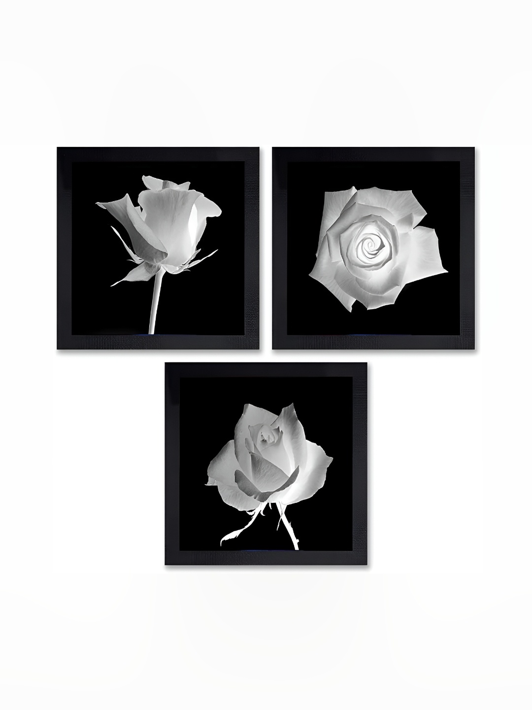 

PnF Black & White 3 Pieces Floral and Botanical Wall Arts