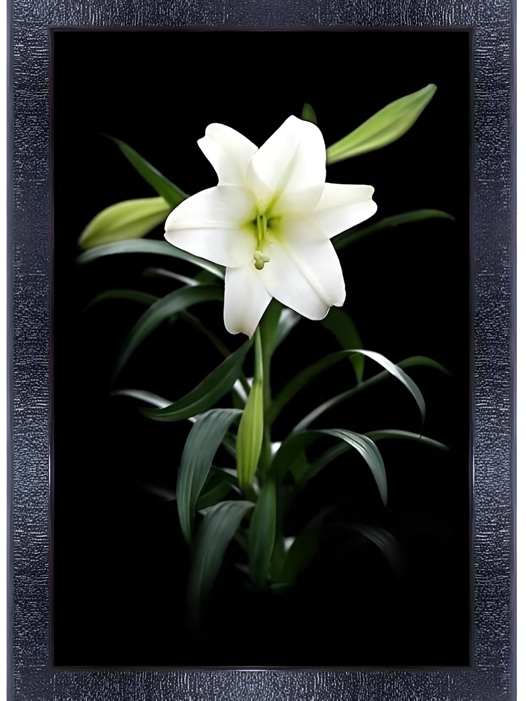 

PnF Black & White Glass Floral and Botanical Wall Art