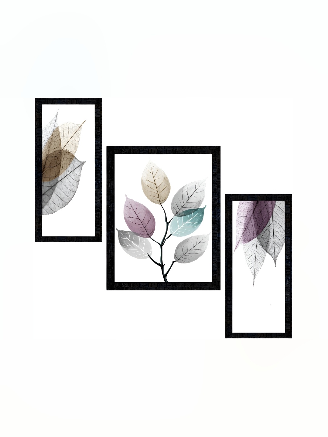 

PnF Charcoal & White 3Pcs Floral And Botanical Wall Paintings