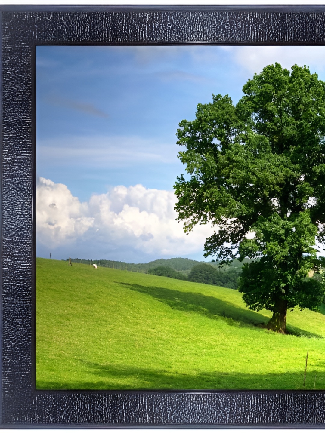 

PnF Black & Green Nature Photograph Wooden Wall Art