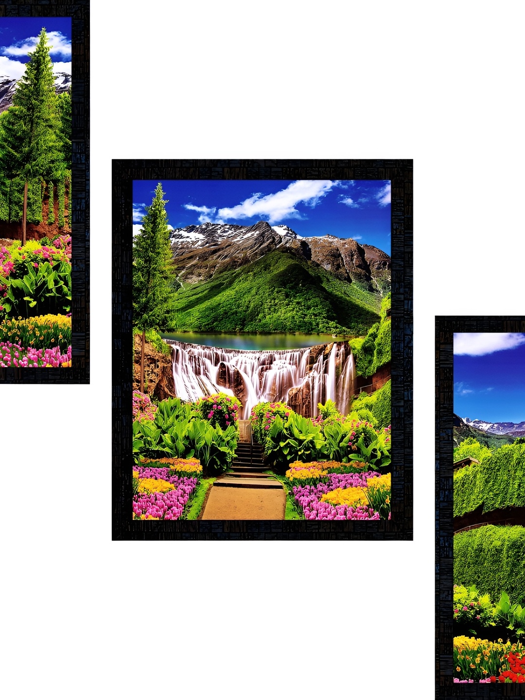 

PnF Black & Green 3 Pieces Nature Photograph Wooden Wall Arts