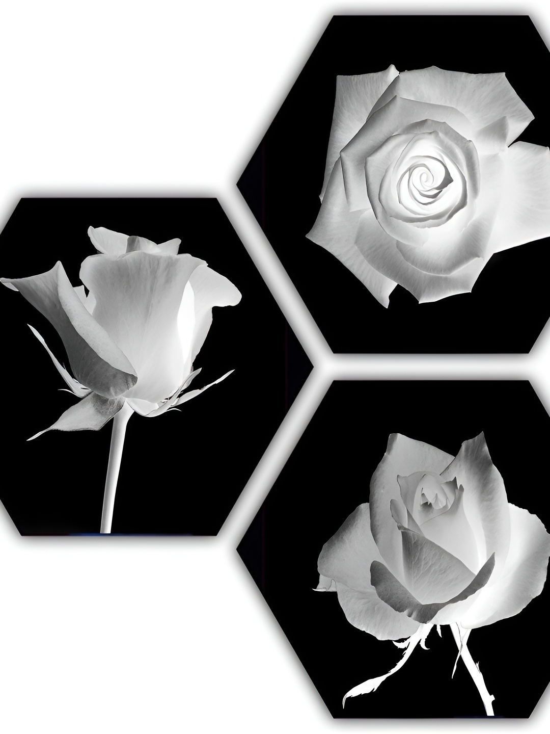 

PnF Black & Grey 3 Piece Wooden Floral and Botanical Printed Wall Art