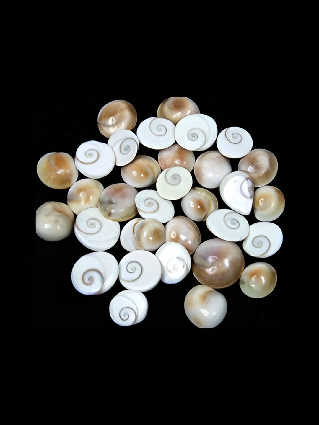 

Navyaksh White & Beige Metal Gomti Chakraa Decorative Showpiece