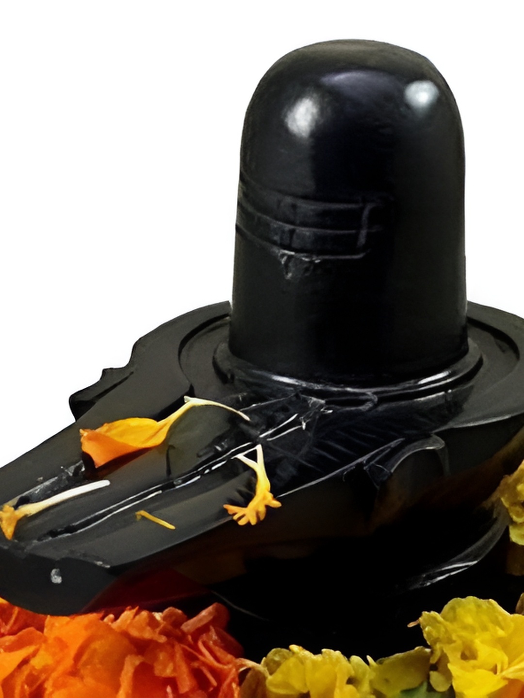 

Navyaksh Black Stone Shiv Ling Showpiece