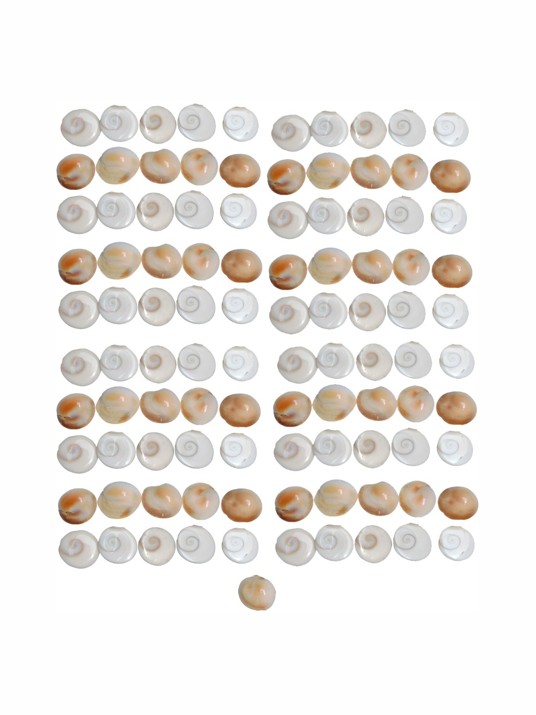 

Navyaksh Brown White 101 Pieces Gomti Chakra Showpiece