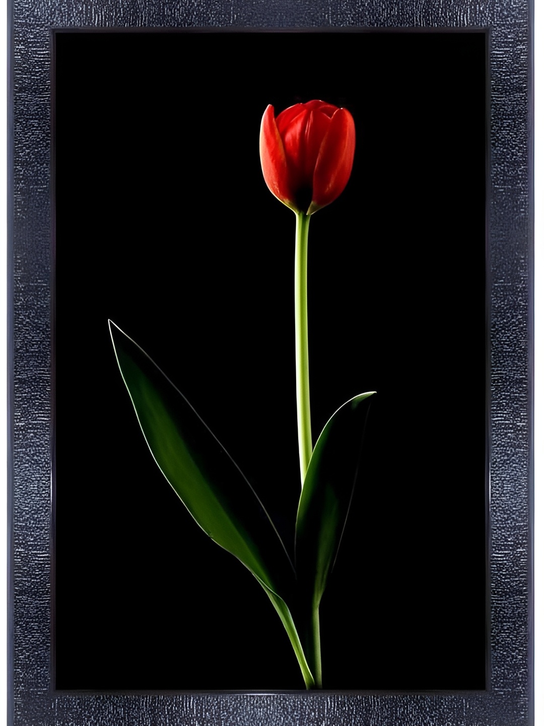 

PnF Black & Red Wooden Floral And Botanical Wall Painting