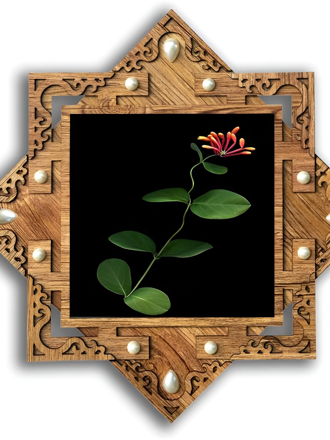 

PnF Brown & Black Wooden Floral and Botanical Wall Art