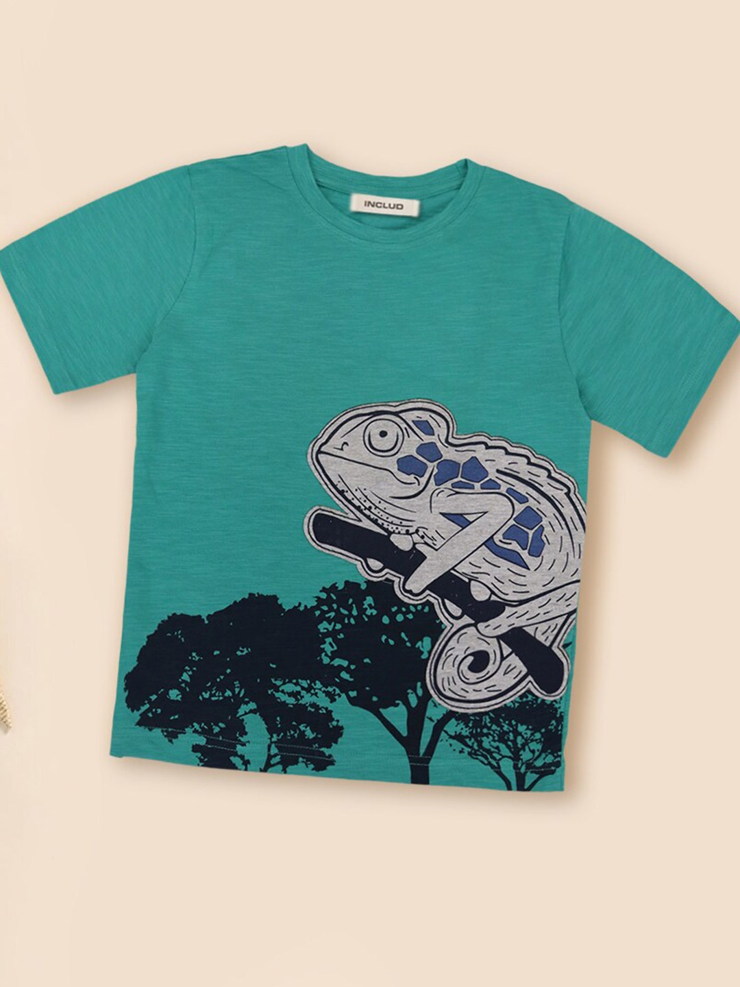 

INCLUD Boys Graphic Printed Pure Cotton T-Shirt, Green