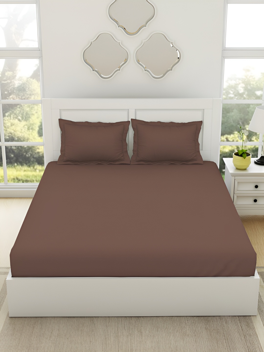 

SPACES Brown 144 TC Pure Cotton Fitted King Bedsheet & 2 Pillow Covers