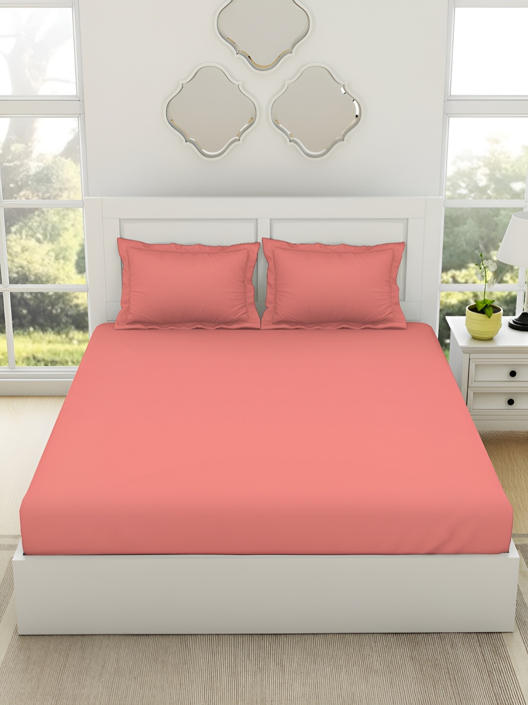 SPACES Coral 144 TC Pure Cotton Fitted King Bedsheet & 2 Pillow Covers